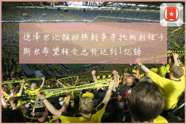 德泽尔比推动热刺争夺托纳利纽卡斯尔希望转会总价达到1亿镑